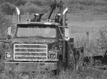 tow-mater-b&w_edited-1